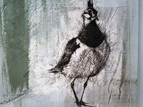 Ruth Slater Lapwing